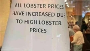 Nachvollziehbar | Lustiges | Was is hier eigentlich los?