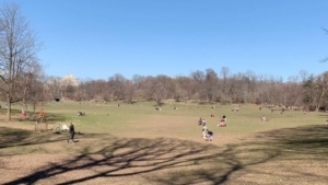 One Minute Park | Travel | Was is hier eigentlich los?