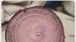 Wenigstens die Zwiebel ist am Montag gl&uuml;cklich | Lustiges | Was is hier eigentlich los?