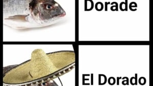 Der Unterschied zwischen einer Dorade und El Dorado | Lustiges | Was is hier eigentlich los?