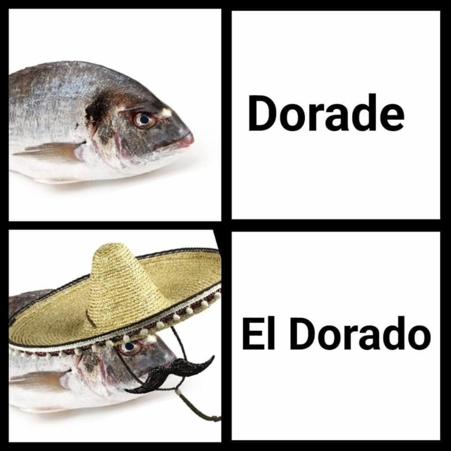 Der Unterschied zwischen einer Dorade und El Dorado | Lustiges | Was is hier eigentlich los?