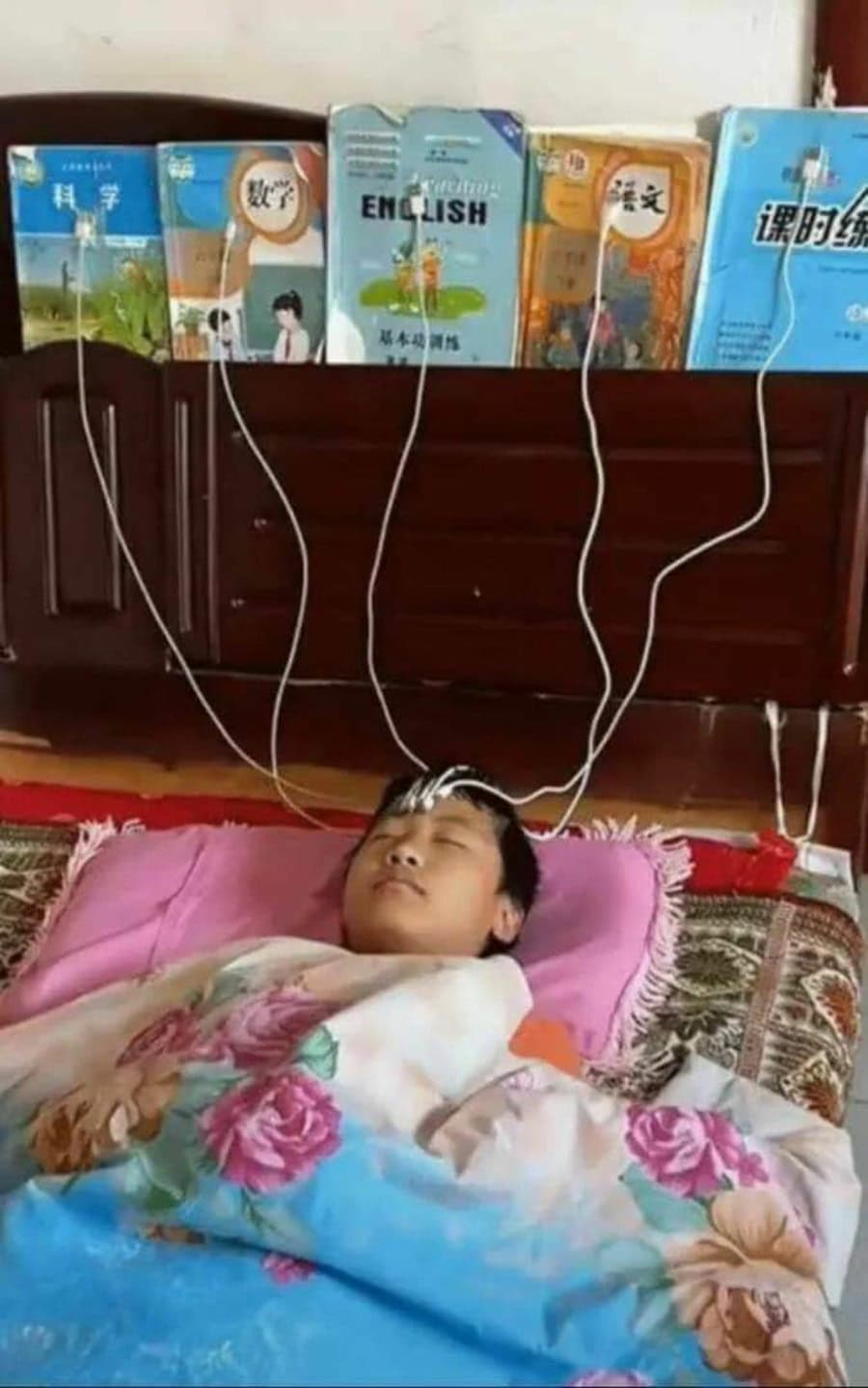 Lernen im Jahr 2024 | Lustiges | Was is hier eigentlich los?