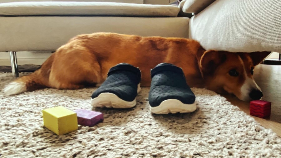 Das war meine Woche KW 23 / 2024 | Alltagsgeschichten | Was is hier eigentlich los?