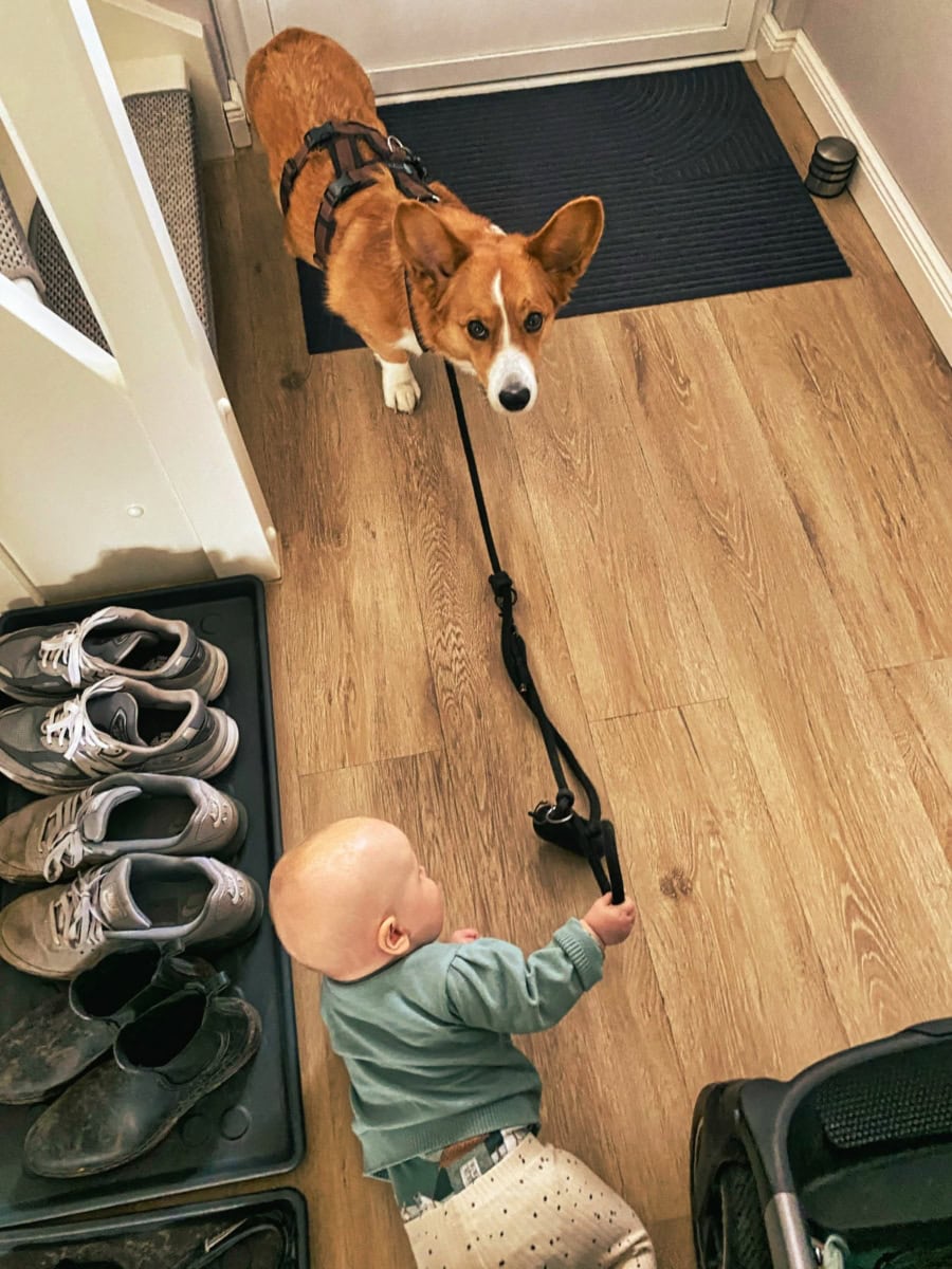 Das war meine Woche KW 23 / 2024 | Alltagsgeschichten | Was is hier eigentlich los?