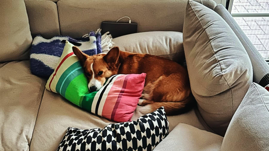 Das war meine Woche KW 23 / 2024 | Alltagsgeschichten | Was is hier eigentlich los?