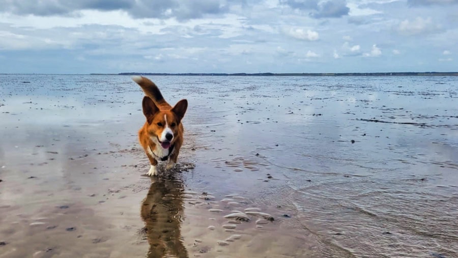 Das war meine Woche - KW 25 / 2024 | Alltagsgeschichten | Was is hier eigentlich los?