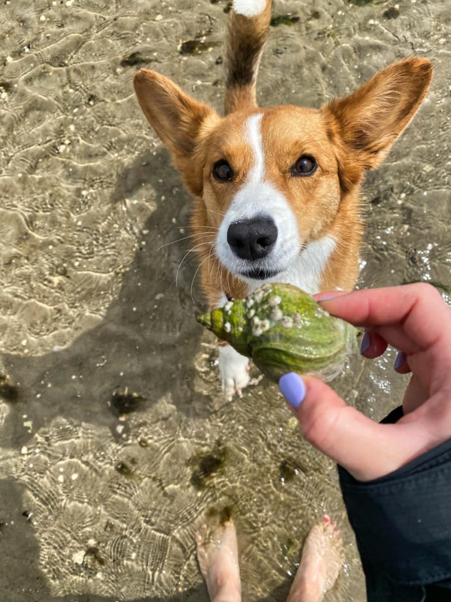 Das war meine Woche - KW 25 / 2024 | Alltagsgeschichten | Was is hier eigentlich los?