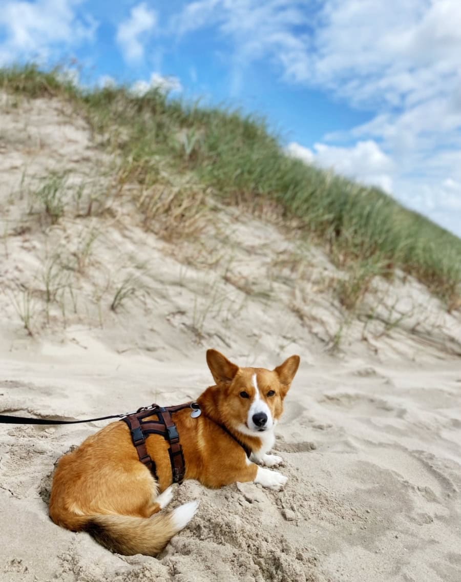 Das war meine Woche KW 24 / 2024 | Alltagsgeschichten | Was is hier eigentlich los?