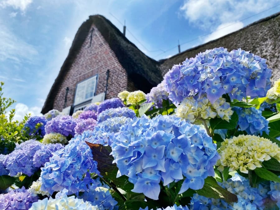 Das war meine Woche KW 24 / 2024 | Alltagsgeschichten | Was is hier eigentlich los?