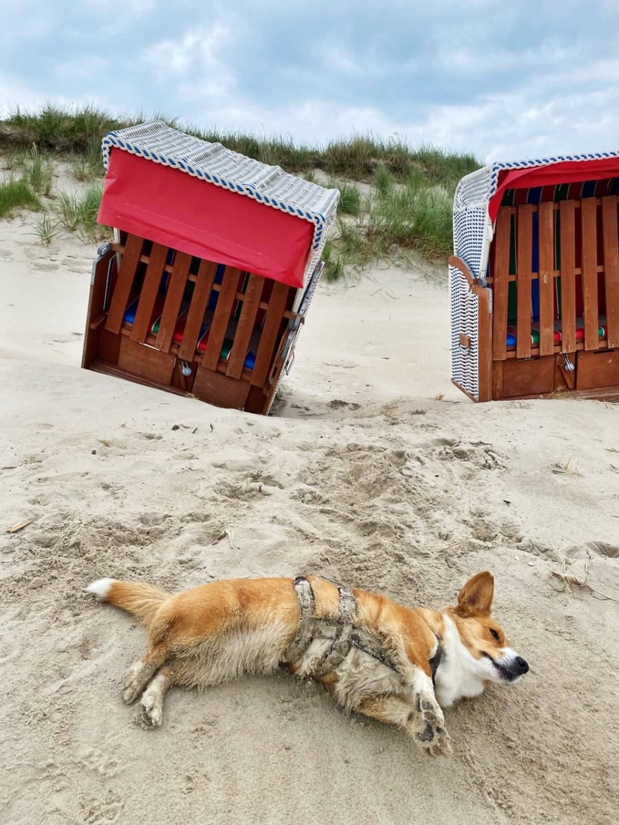 Das war meine Woche KW 24 / 2024 | Alltagsgeschichten | Was is hier eigentlich los?