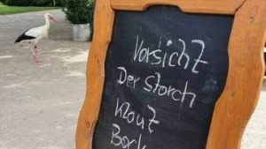 Obacht, fieser Storch unterwegs | Lustiges | Was is hier eigentlich los?