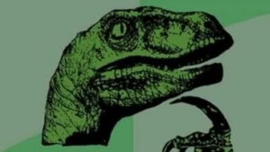 Wer kann helfen? | Lustiges | Was is hier eigentlich los?