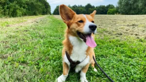 Das war meine Woche &ndash; KW 30 / 2024 | Alltagsgeschichten | Was is hier eigentlich los?