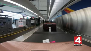 Nur ein Schwarm von 100 Millionen Schmetterlingen | Was gelernt | Was is hier eigentlich los?