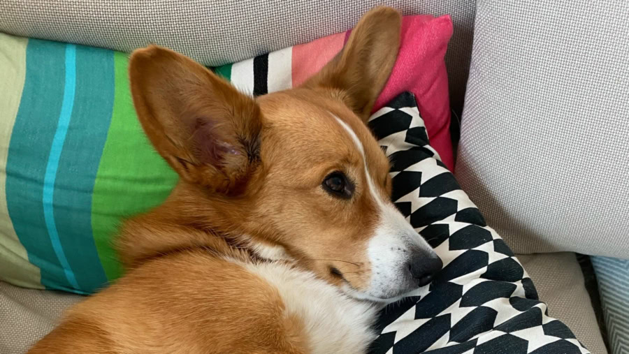 Das war meine Woche KW 27 / 2024 | Alltagsgeschichten | Was is hier eigentlich los?