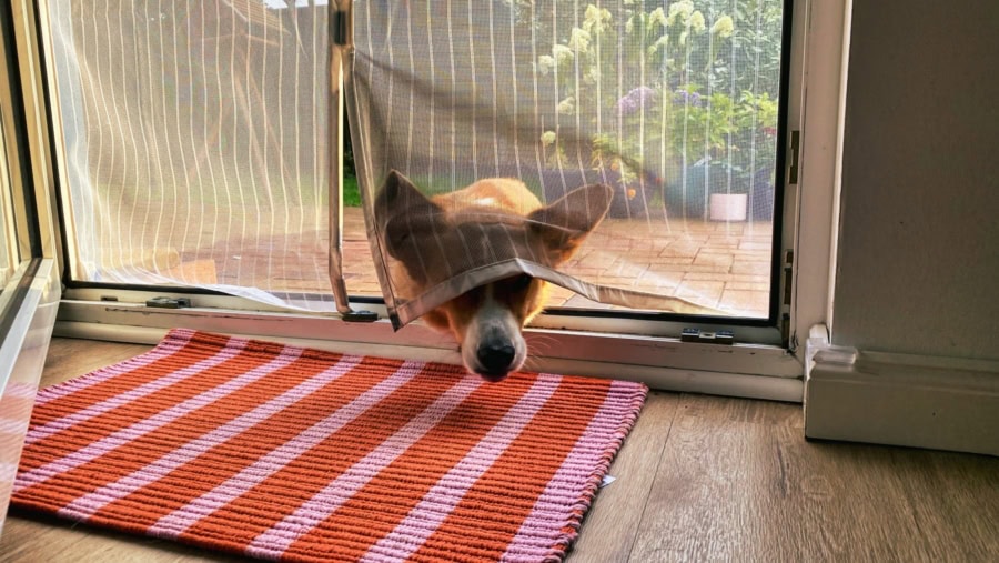 Das war meine Woche - KW 29 / 2024 | Alltagsgeschichten | Was is hier eigentlich los?