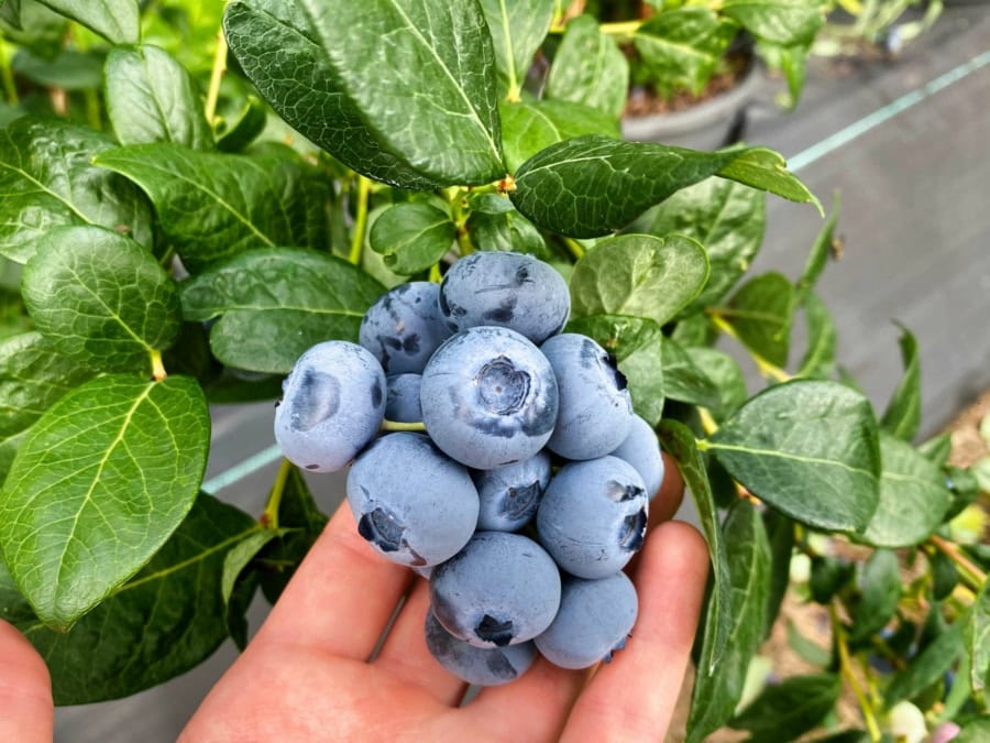 Das war meine Woche - KW 29 / 2024 | Alltagsgeschichten | Was is hier eigentlich los?