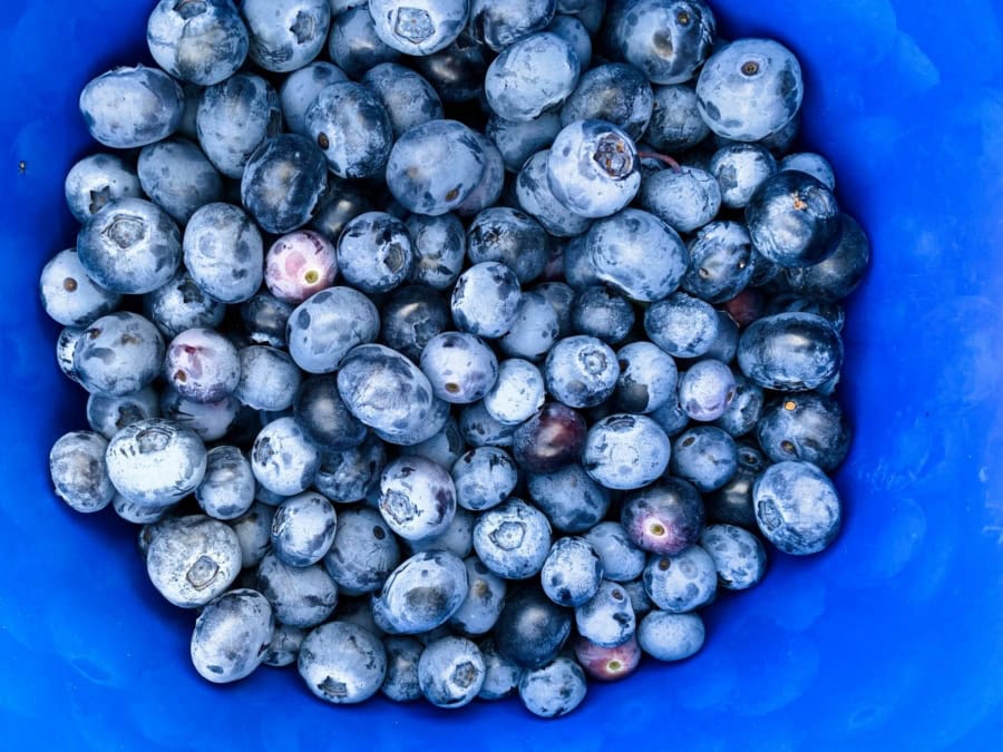 Das war meine Woche - KW 29 / 2024 | Alltagsgeschichten | Was is hier eigentlich los?