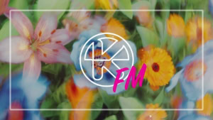 Nora En Pure - The Other Side | Musik | Was is hier eigentlich los?