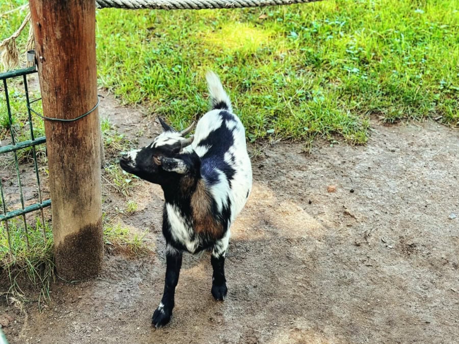 Das war meine Woche &ndash; KW 31 / 2024 | Alltagsgeschichten | Was is hier eigentlich los?