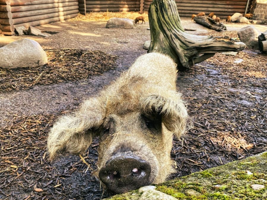 Das war meine Woche &ndash; KW 31 / 2024 | Alltagsgeschichten | Was is hier eigentlich los?