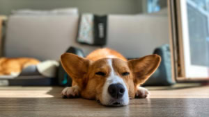 Das war meine Woche &ndash; KW 33 / 2024 | Alltagsgeschichten | Was is hier eigentlich los?