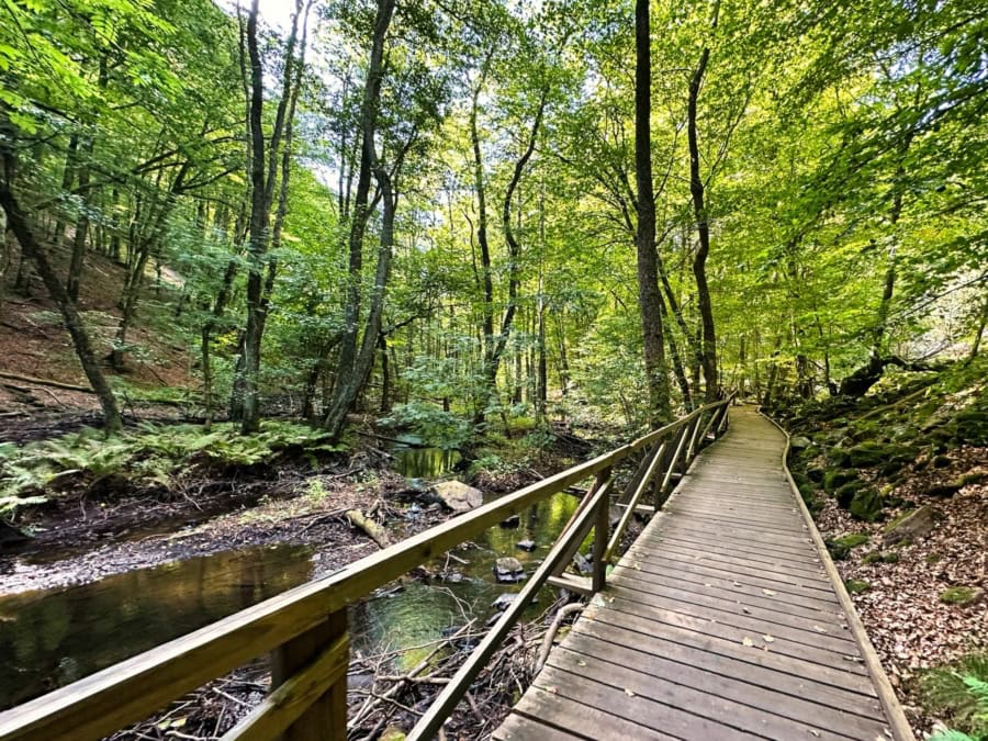 Das war meine Woche &ndash; KW 35 / 2024 | Alltagsgeschichten | Was is hier eigentlich los?