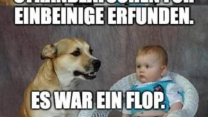 Flachwitz der Woche | Lustiges | Was is hier eigentlich los?