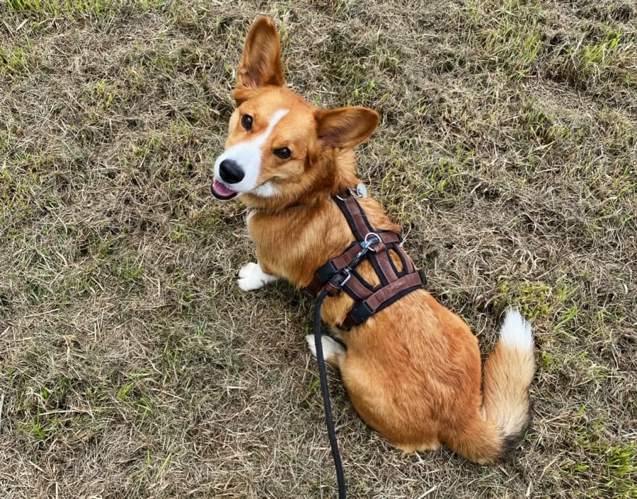 Das war meine Woche &ndash; KW 34 / 2024 | Alltagsgeschichten | Was is hier eigentlich los?