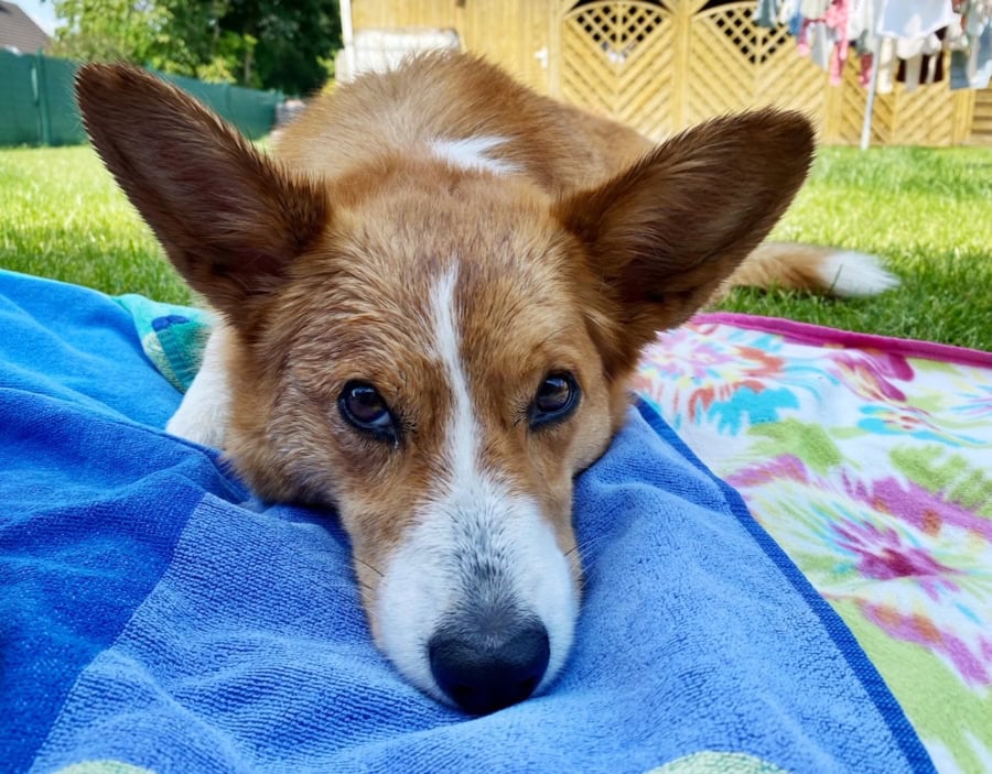 Das war meine Woche &ndash; KW 32 / 2024 | Alltagsgeschichten | Was is hier eigentlich los?