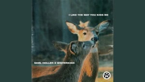 Noel Holler - i like the way you kiss me | Musik | Was is hier eigentlich los?