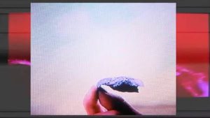 SUUNS - The Breaks | Musik | Was is hier eigentlich los?