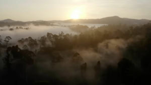 10 Stunden entspannte Natur | Travel | Was is hier eigentlich los?