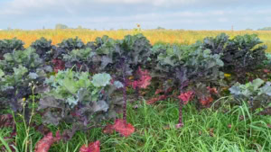 Das war meine Woche &ndash; KW 38 / 2024 | Alltagsgeschichten | Was is hier eigentlich los?