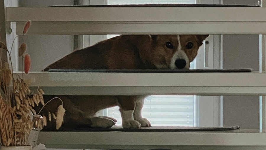 Das war meine Woche &ndash; KW 37 / 2024 | Alltagsgeschichten | Was is hier eigentlich los?