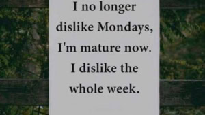Nicht nur den Montag hassen, sondern direkt die ganze Woche | Lustiges | Was is hier eigentlich los?