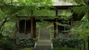 Another Berlin dream | Animation | Was is hier eigentlich los?