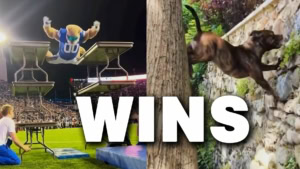 Bonus Win-Compilation &ndash; Some More Wins #7 | Win-Compilation | Was is hier eigentlich los?