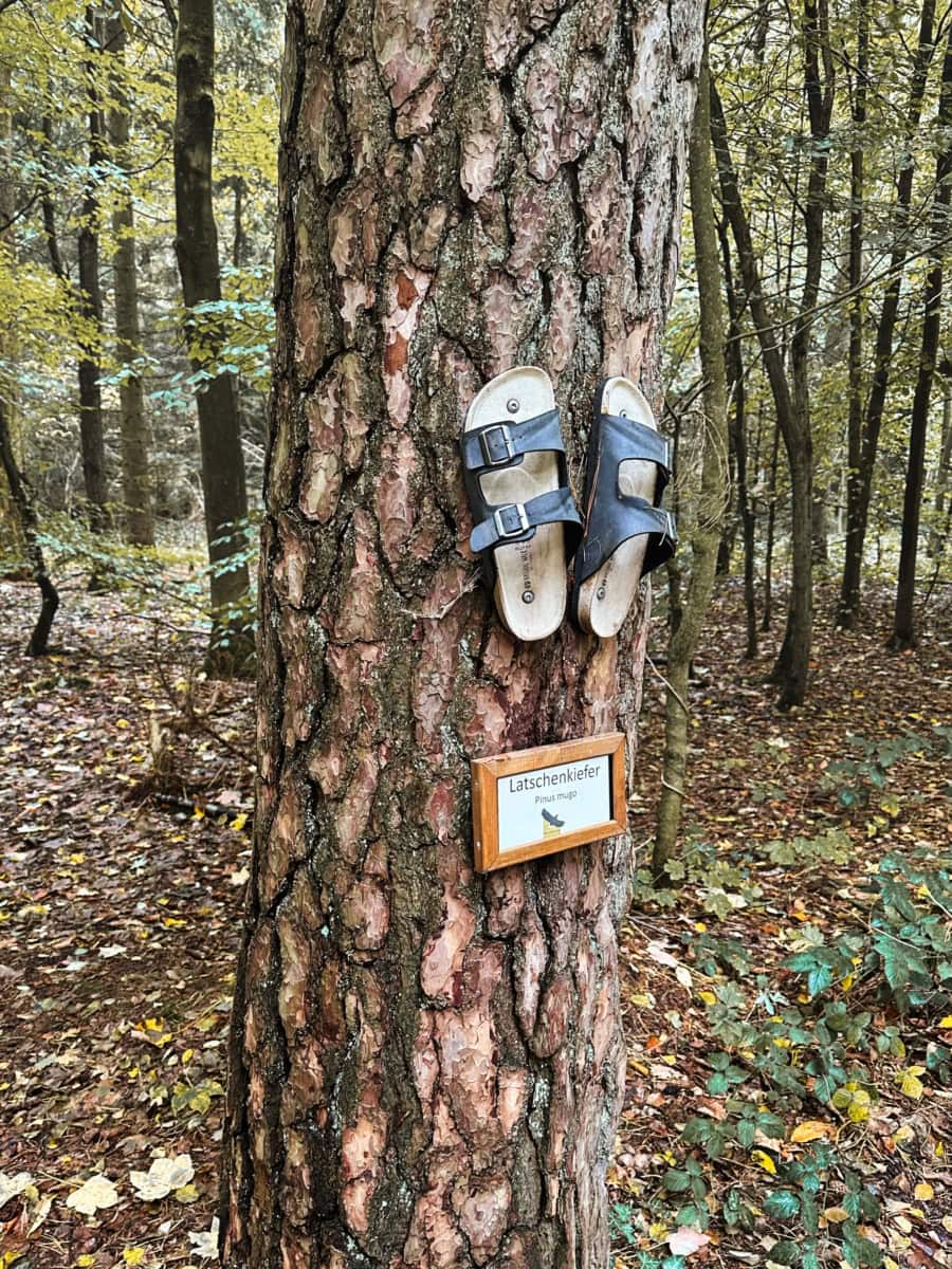 Das war meine Woche KW 41 / 2024 | Alltagsgeschichten | Was is hier eigentlich los?