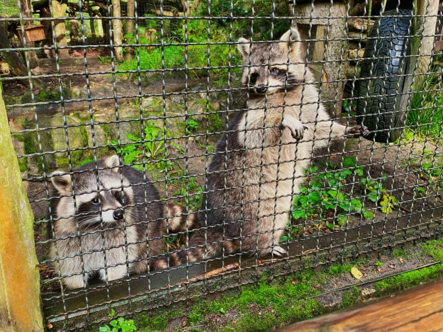 Das war meine Woche KW 41 / 2024 | Alltagsgeschichten | Was is hier eigentlich los?