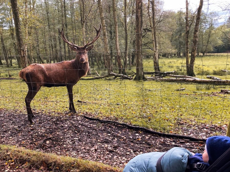 Das war meine Woche KW 41 / 2024 | Alltagsgeschichten | Was is hier eigentlich los?