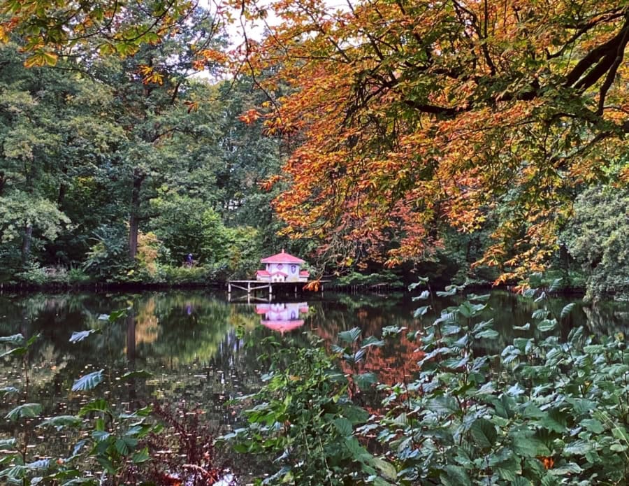 Das war meine Woche &ndash; KW 40 / 2024 | Alltagsgeschichten | Was is hier eigentlich los?