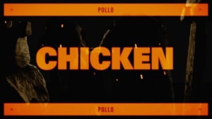 Pixies - Chicken | Musik | Was is hier eigentlich los?