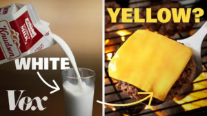 Rexona Stunt City | Werbung | Was is hier eigentlich los?