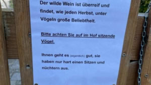 Wenn die V&ouml;gel mal wieder besoffen sind | Lustiges | Was is hier eigentlich los?