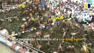 Das Ende vom Diwali-Fest &ndash; Mit Kuh-Dung | Was gelernt | Was is hier eigentlich los?