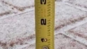 Die Hoffnung stirbt zuletzt | Lustiges | Was is hier eigentlich los?