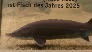 Gl&uuml;ckwunsch an den Hausen | Lustiges | Was is hier eigentlich los?