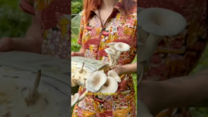 Wie man Pilze auf einem Buch z&uuml;chtet | Was gelernt | Was is hier eigentlich los?