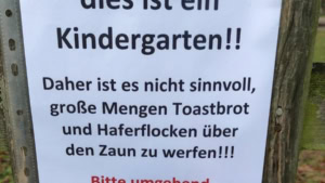 Win-Compilation Dezember 2024 | Win-Compilation | Was is hier eigentlich los?